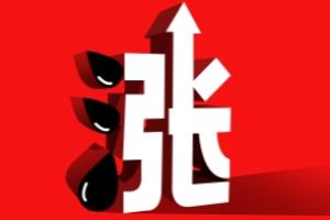 别光盯着黄金！美银：这一“白金”去年狂飙近300% 大涨行情料才刚刚开始