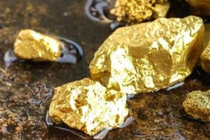 淘金热！西澳大利亚矿权数飙涨 新冠大流行期间“黄金价格吸引淘金者勘探金伯利”