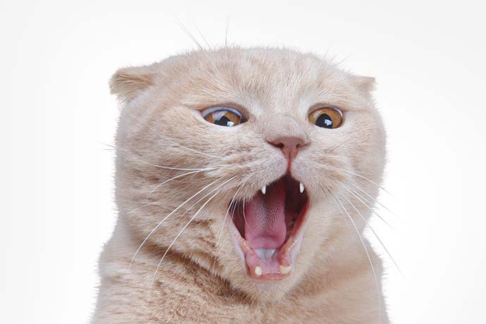 黄金为何突然暴涨超过30美元？知名金融博客：中国回来了……