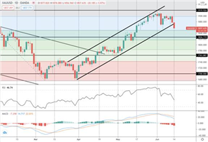 Tickmill新闻:贵金属观点