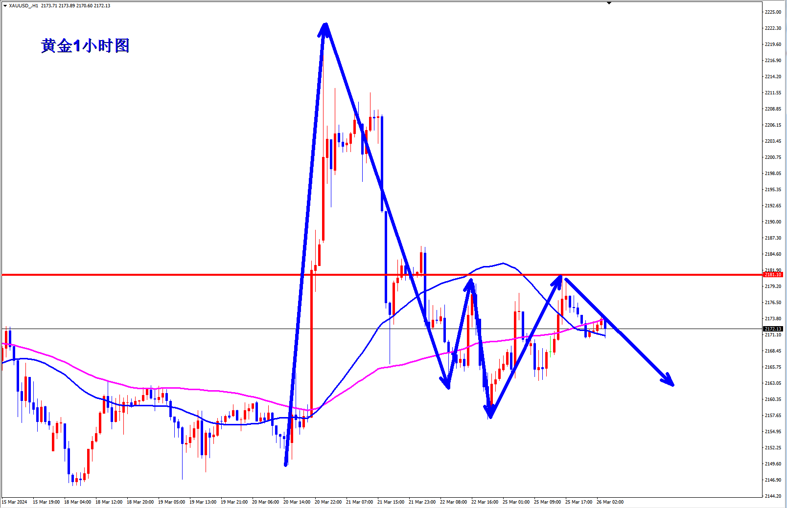王杨：黄金隔夜2179空下跌收割，早盘反弹继续空！