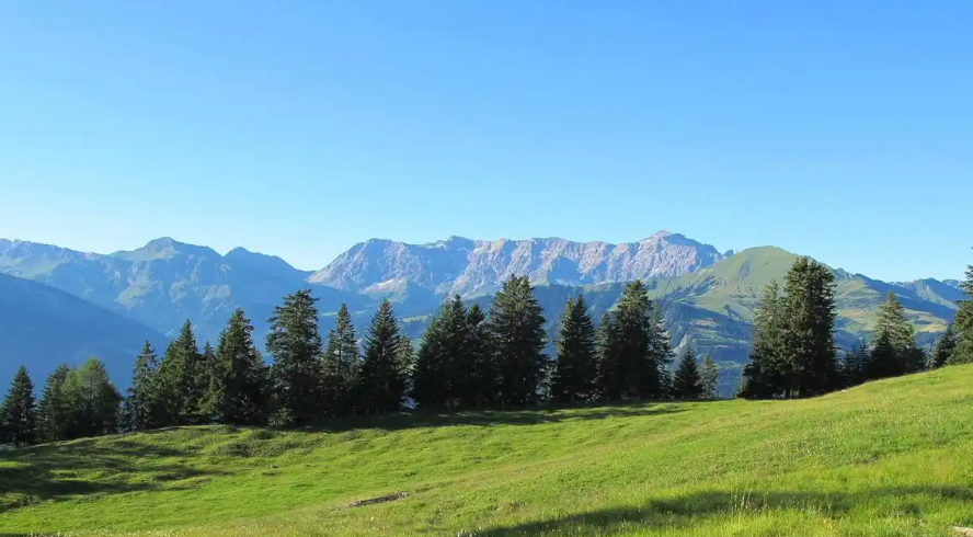 王鹏点金：反弹空！